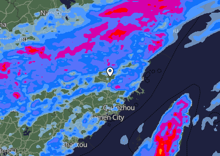 Niederschlagsprognose