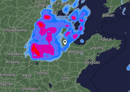 Niederschlagsprognose