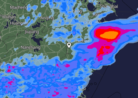 Niederschlagsprognose