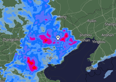Niederschlagsprognose