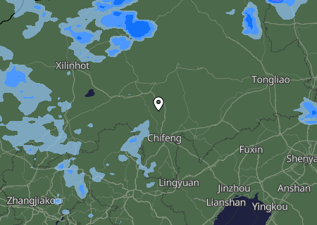 Niederschlagsprognose