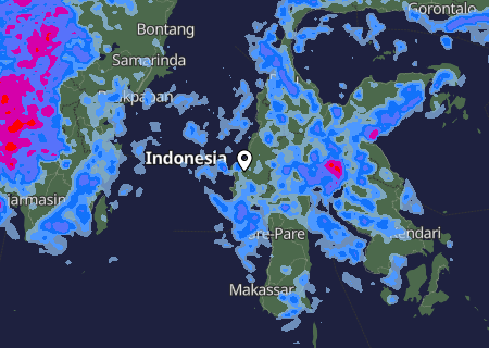 Niederschlagsprognose