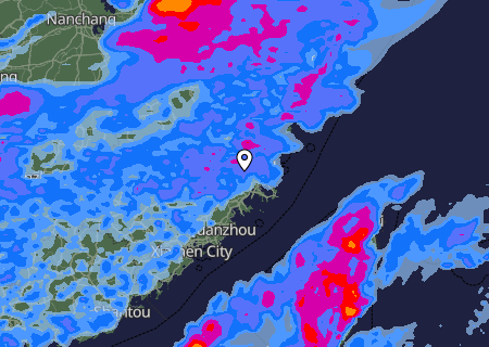 Niederschlagsprognose