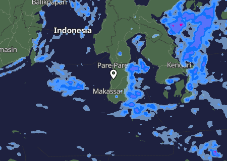 Niederschlagsprognose