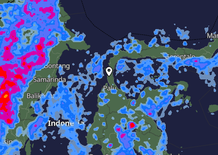 Niederschlagsprognose