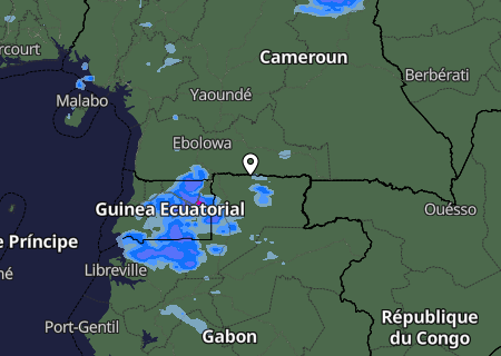 Niederschlagsprognose Niederschlagsprognose