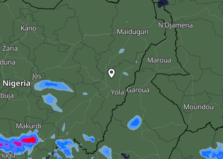 Niederschlagsprognose