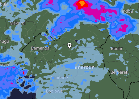 Niederschlagsprognose