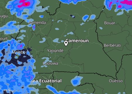 Niederschlagsprognose