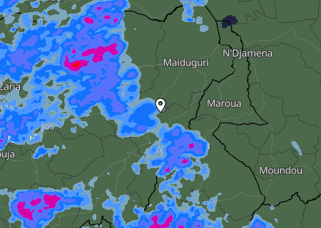 Niederschlagsprognose