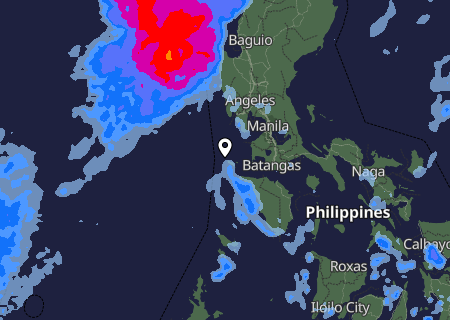 Niederschlagsprognose