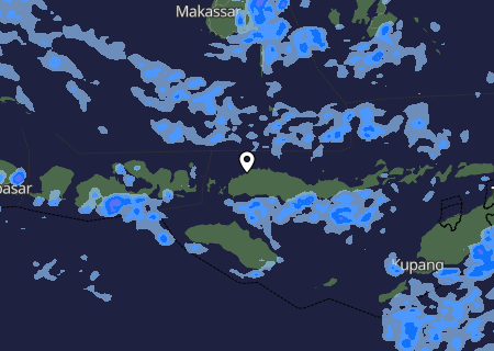 Niederschlagsprognose