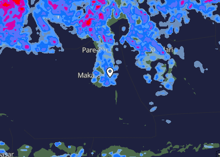 Niederschlagsprognose