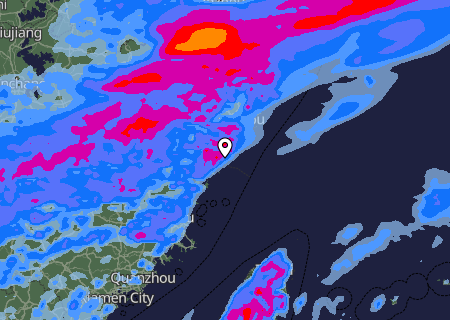 Niederschlagsprognose
