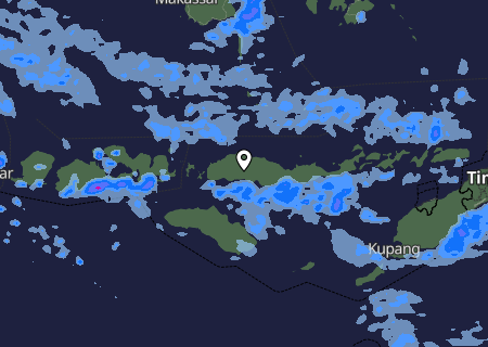 Niederschlagsprognose