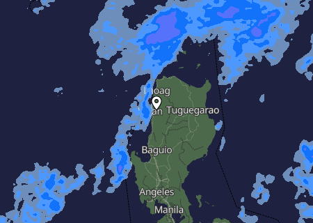 Niederschlagsprognose