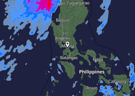 Niederschlagsprognose