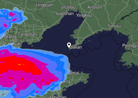 Niederschlagsprognose