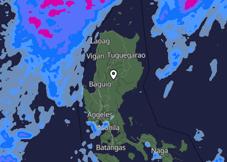 Niederschlagsprognose