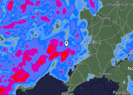 Niederschlagsprognose