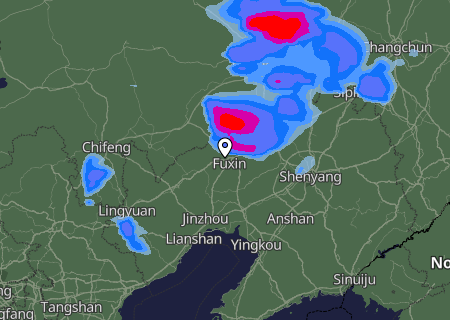 Niederschlagsprognose