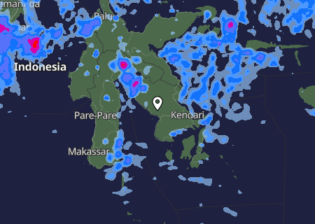 Niederschlagsprognose