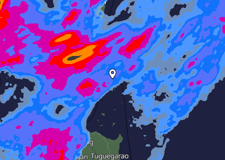 Niederschlagsprognose