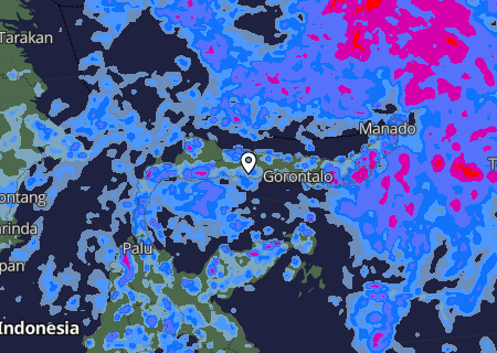 Niederschlagsprognose Niederschlagsprognose