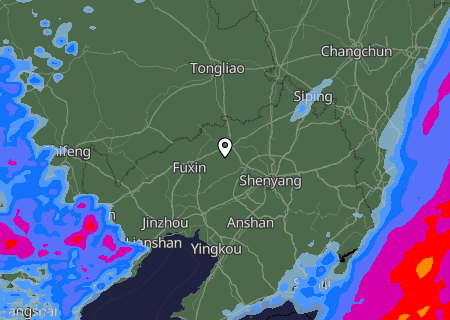 Niederschlagsprognose