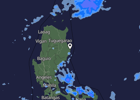 Niederschlagsprognose