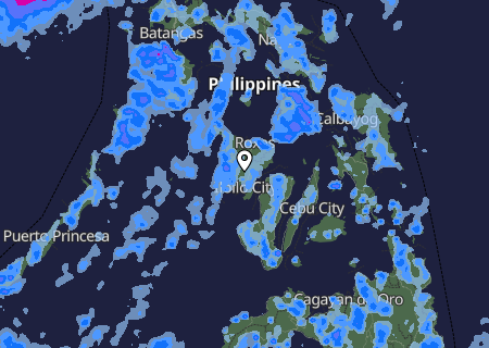 Niederschlagsprognose