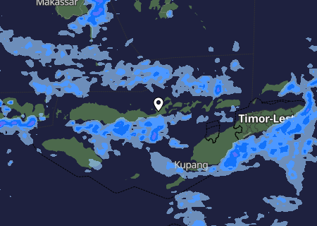 Niederschlagsprognose