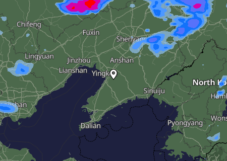 Niederschlagsprognose