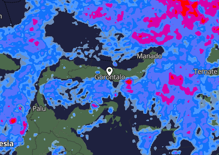 Niederschlagsprognose Niederschlagsprognose