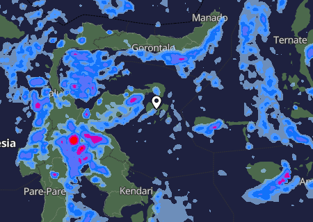 Niederschlagsprognose
