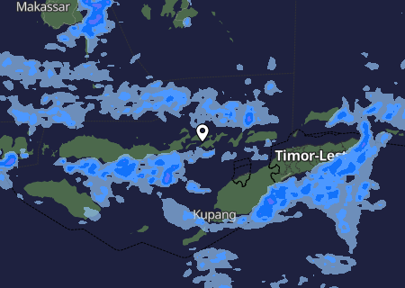 Niederschlagsprognose
