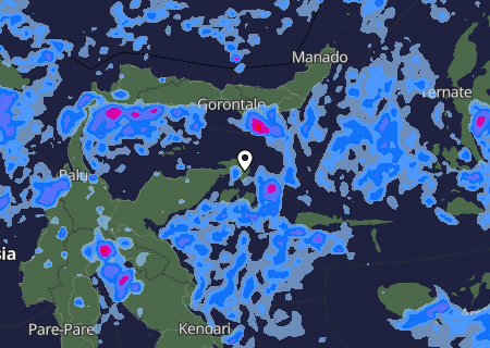 Niederschlagsprognose
