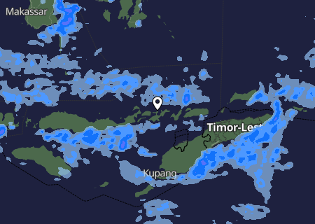 Niederschlagsprognose