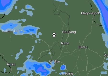 Niederschlagsprognose