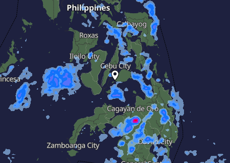 Niederschlagsprognose