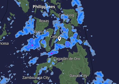 Niederschlagsprognose
