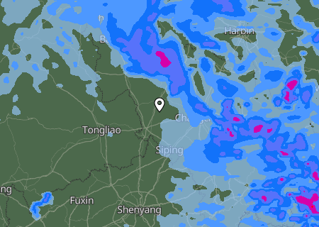 Niederschlagsprognose