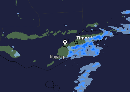 Niederschlagsprognose