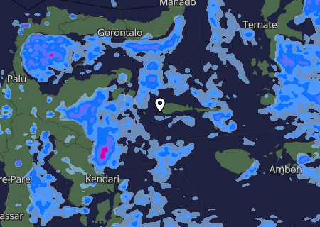Niederschlagsprognose Niederschlagsprognose