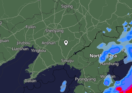 Niederschlagsprognose