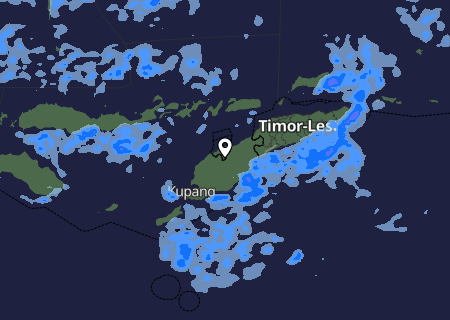 Niederschlagsprognose