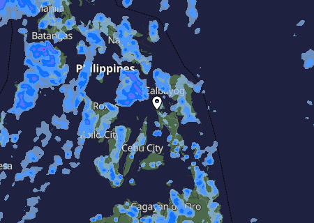 Niederschlagsprognose