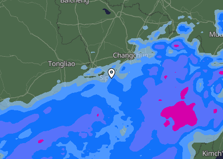 Niederschlagsprognose
