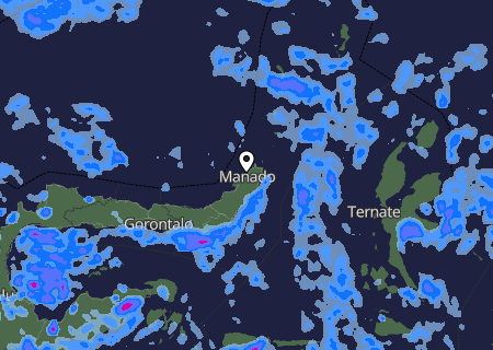 Niederschlagsprognose