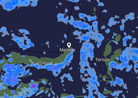 Niederschlagsprognose